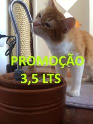 Bebedouro Fonte p/gatos Luxo II 3,5 litros cerâmica + 2 BRINDES, CenterArts - Base grande